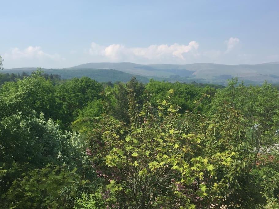 Stunning Views Of Ynyshir & Southern Snowdonia มาฮันเล็ธ ภายนอก รูปภาพ